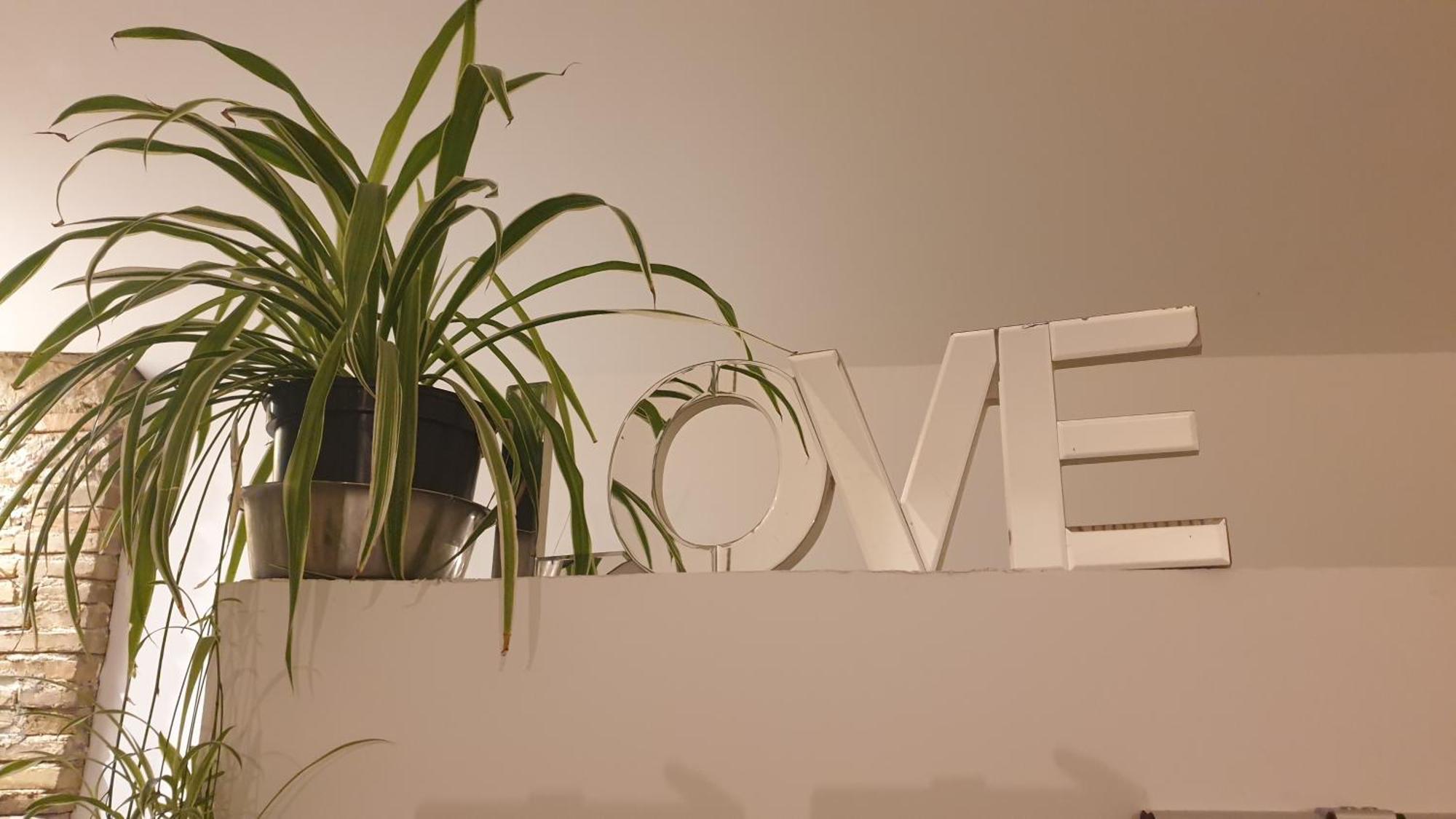 Love Room- Spa- Escale Amoureuse Puygaillard-de-Quercy エクステリア 写真