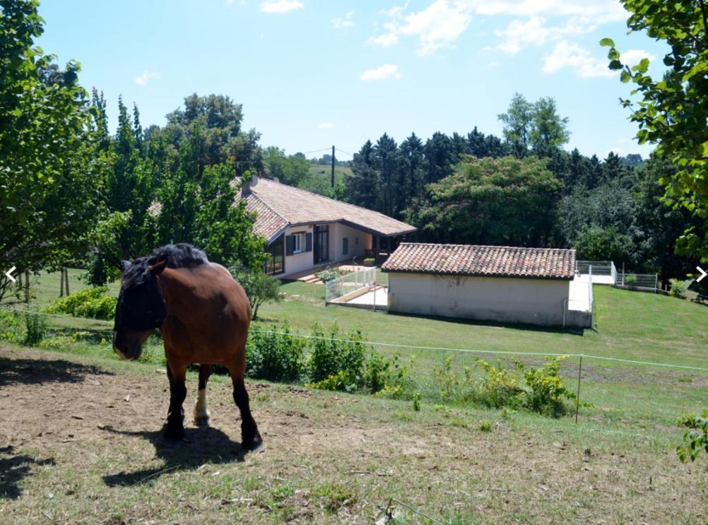 Love Room- Spa- Escale Amoureuse Puygaillard-de-Quercy エクステリア 写真