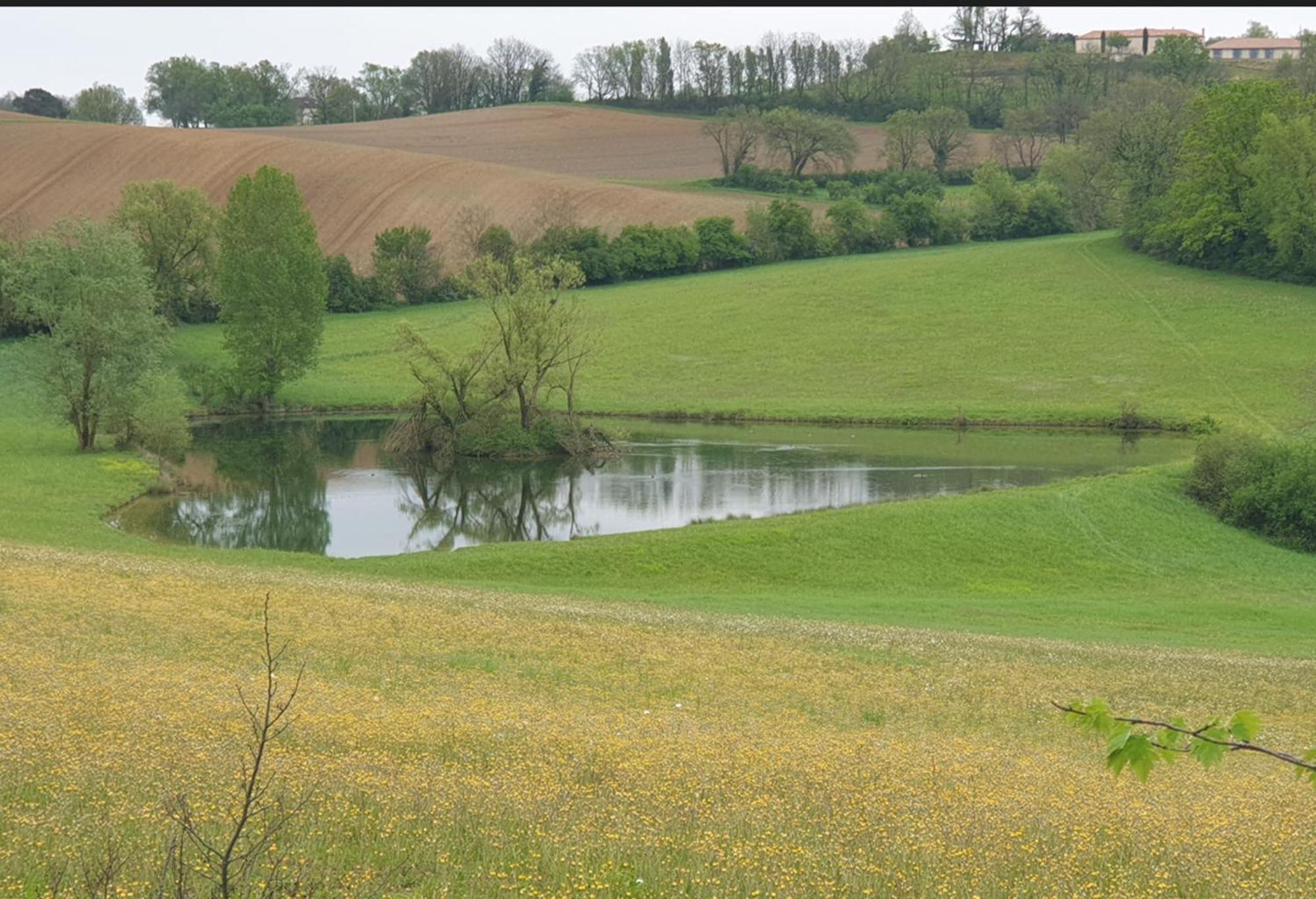 Love Room- Spa- Escale Amoureuse Puygaillard-de-Quercy エクステリア 写真